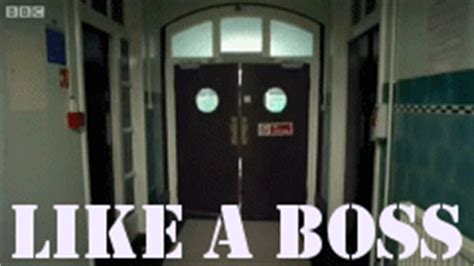 Maybe you would like to learn more about one of these? osama bin laden gifs | WiffleGif