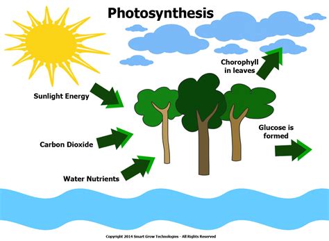 Photosynthetically active radiation or par is an electromagnetic spectrum area that is necessary to promote photosynthesis. The new PARMAX™ Professional Series Hybrid LED Pro Panels ...