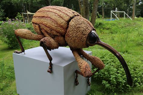 The Big Bug Tour The Sculpture Park All Year Exhibition