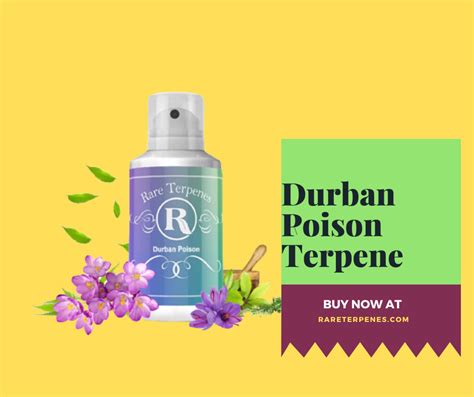 What Is The Durban Poison Terpene All About Examin News