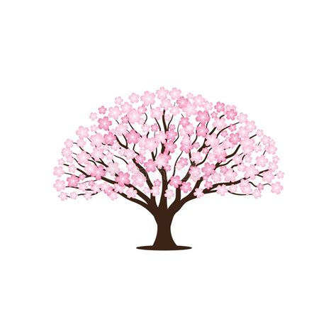 Cherry Blossom Sakura Tree Vector Illustrations Stock Vector