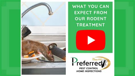Rodent Control Preferred Pest Control