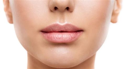 Cuál es la forma perfecta de los labios Crea tu cuerpo