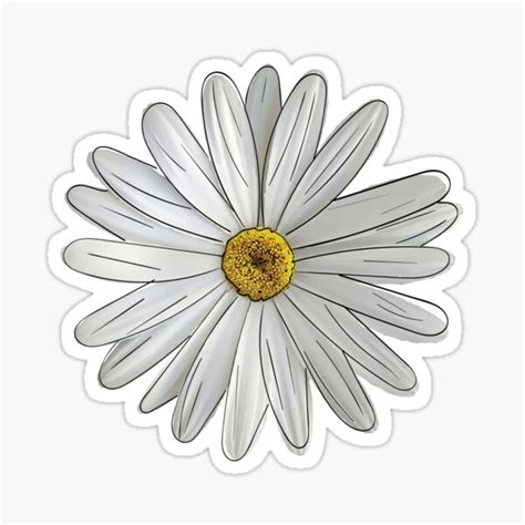 White Daisy Sticker For Sale By Jordansaufley Redbubble