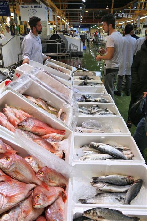London Fish Market Billingsgate Editorial Stock Photo Image Of