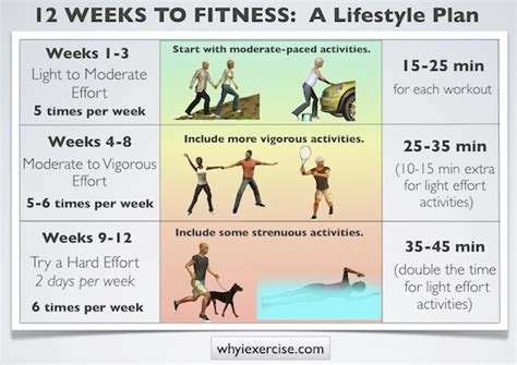 Fitness Workout Life Fitness Workout Plan