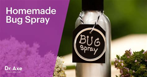 Homemade Bug Spray Homemade Bug Spray Bug Spray Bug Spray Recipe