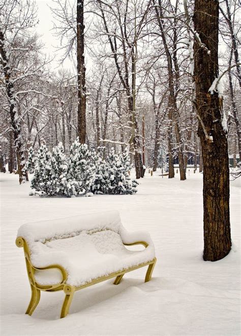 Park Bench In The Winter Stock Photo Image Of Gray Park 83229374