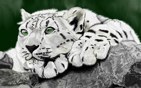Snow Leopard By Brownie Frito On Deviantart