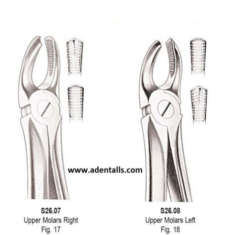 Upper Molar Forceps Right Left Set Price 900 Toothextractionmovements