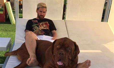 And 12 months later, messi's wife, antonella roccuzo, has. Lionel Messi's adorable puppy has grown into an enormous ...