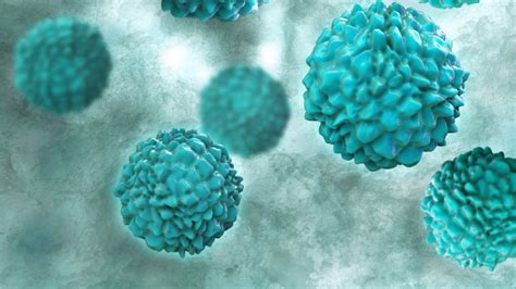 Die diarrhö ist ein symptom und keine eigenständige krankheit. Norovirus in Sachsen - 36 Kinder erkrankt, sechs in der ...