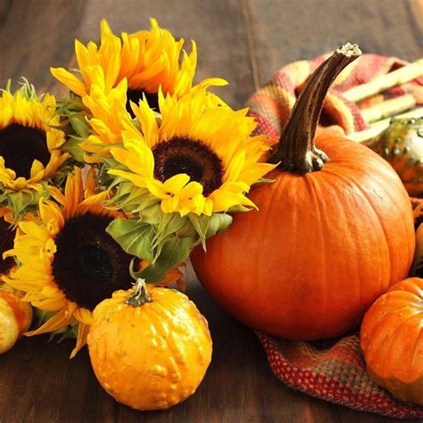 Sunflowers And Pumpkins Halloween Party
