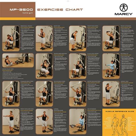 Marcy Mwm Workout Chart Marcy Home Gym Workout Plan Best Marcy Home Gym Workout Routine