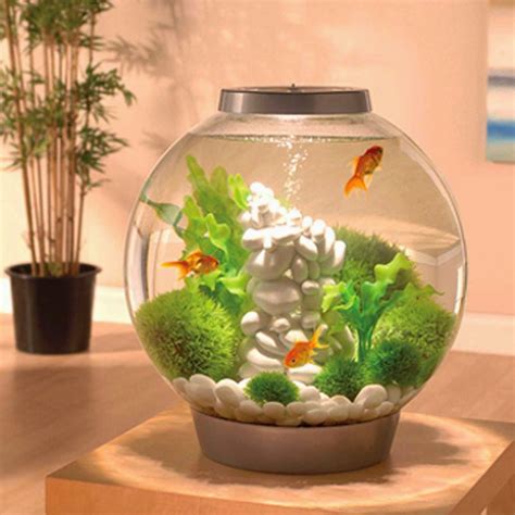 Biorb Aquarium Kit With Light Fixture Spiffy Pet Products Aquarium