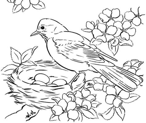 Advanced Bird Coloring Pages And More Top 10 Theme Coloring Challenges