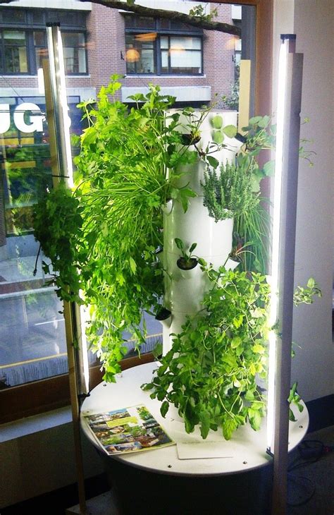 This diy hydroponic garden tower grows over 100 plants in less than 10 square feet, by taking advantage of vertical growth space. Tower Garden growing system - Home Harvest Farms. Amazing ...