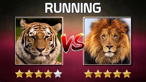 Lion Versus Tiger Who Is The Strongest Sl