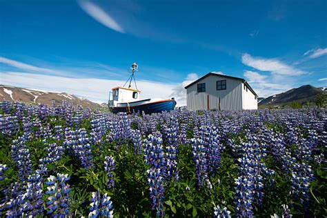 Isafjordur Iceland Stock Photos Pictures And Royalty Free Images Istock