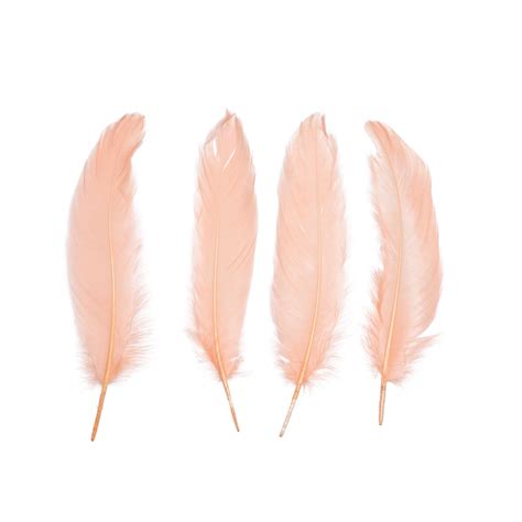 Goose Satinette Feathers 4 6 Cinnamon Loose Goose Feathers Small