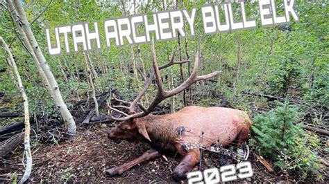 Utah Archery Elk Hunt Youtube