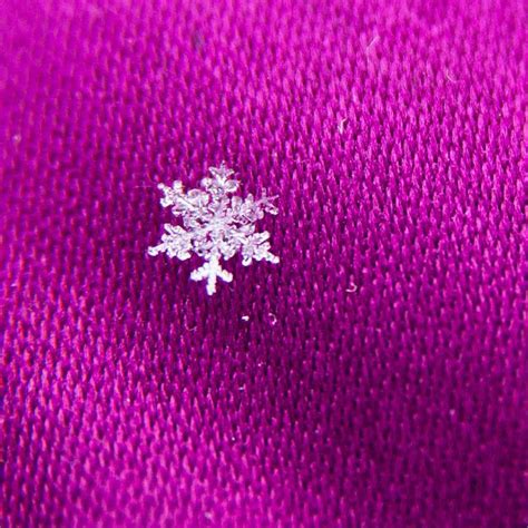 Snowflake Snowflakes Snow Crystal Micro Photography