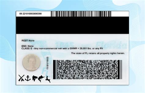 Florida Drivers License Template New Edition Psd Photoshop File