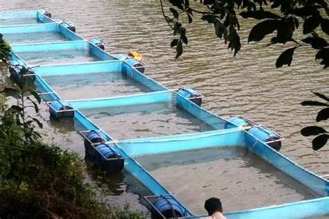 Million metric tonnes rm million. AQUACULTURE | Fisheries Department - Kerala