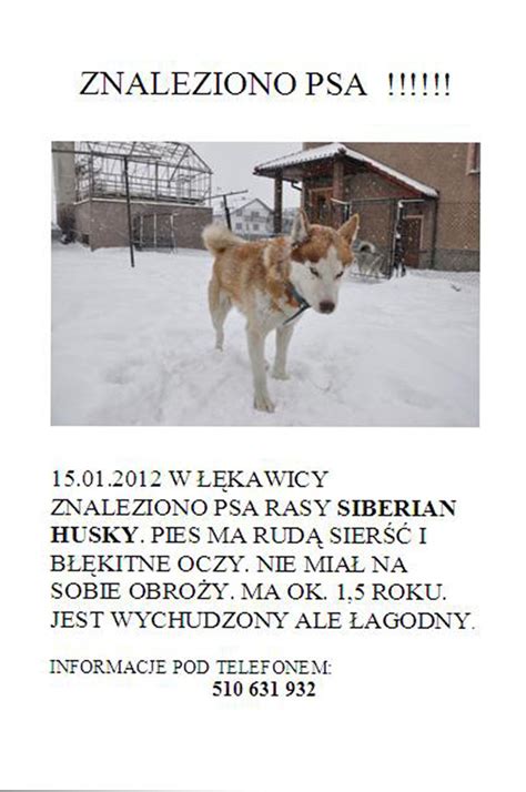O mającej się odbyć wystawie malarstwa, o. Zaginione Psy .pl Ogłoszenia o zaginionych i znalezionych ...