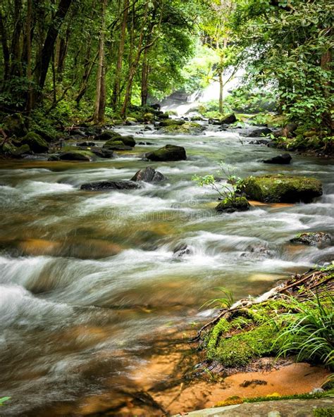 Tropical Rainforest Landscape With Flowing River Thailand Stock Photo