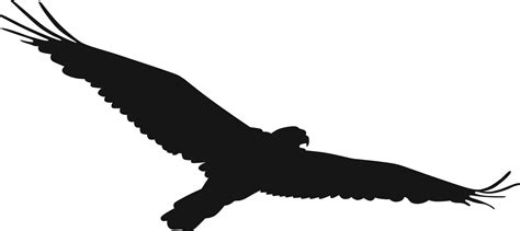 Flying Hawk Clipart Clip Art Library