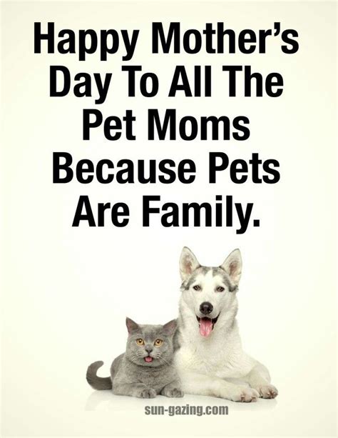 Finding pets for you… submit your happy tail. Happy Mother's Day.....to all pet owners! | Pet mom, Dog ...