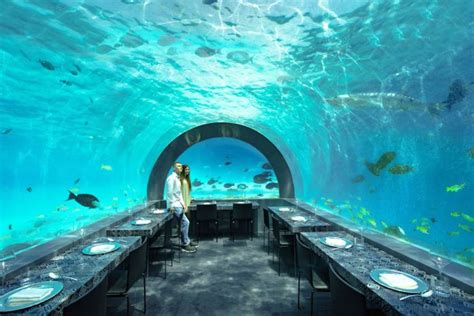 6 Underwater Restaurants In Maldives To Dine With The Fishes Fravel
