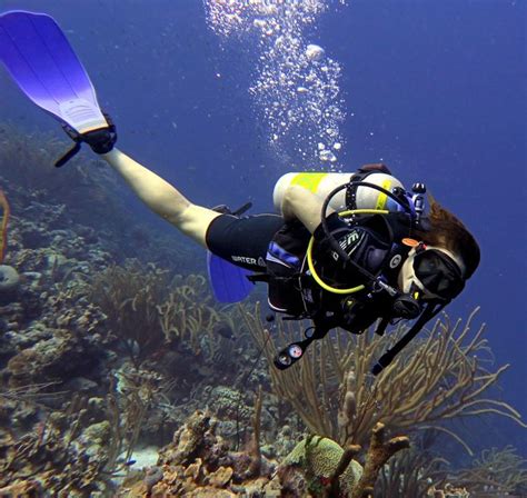 Is It On Your Scuba Diving Bucket List Niver Picks Palau Scuba