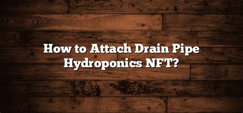 How To Attach Drain Pipe Hydroponics Nft Inter Culturalu