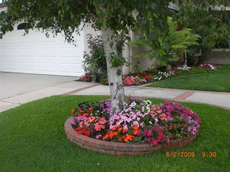 Cruising around pinterest i have been seeing more and more gardening ideas popping up and it has gotten my spring fever all riled up. landscaping under a maple tree | ... FRONT YARD BEFORE AND ...