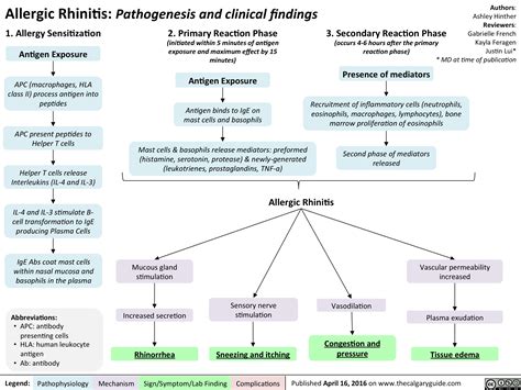 Allergic Rhinitis Pathogenesis And Clinical Findings Calgary Guide