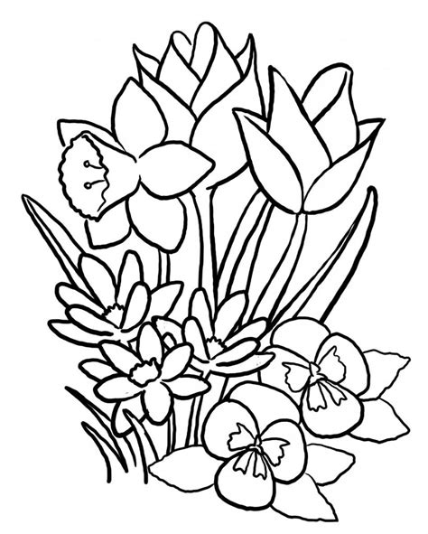printable flower coloring pages  kids  coloring pages  kids