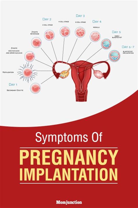 8 Early Signs And Symptoms Of Pregnancy Implantation Early Pregnancy