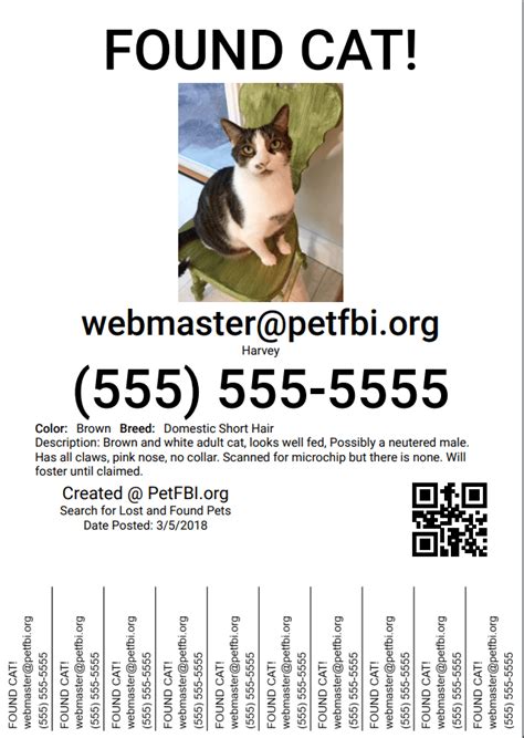 The surprised cat clawed and snarled causing steven to leap out of the chair, slip on a rug and strike his forehead onto the corner of a speaker; Create a Lost or Found Pet Flyer | PetFBI