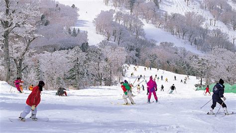 Find the best place for ski Japan Holidays - Best offer for Japan ski