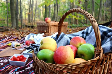 An Autumn Picnic With Our New Canon Sl1