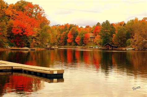 Fall Colours At Ontarios Algonquin Provincial Park Travel And Food