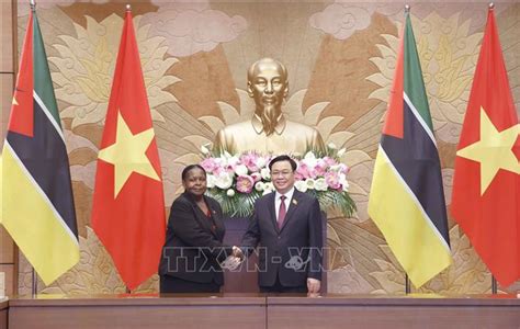 Vietnam Attaches Special Importance To Traditional Ties With Mozambique