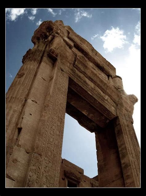 Page officielle de yab (créée puis généreusement cédée par taha yassine). Palmyra | 自然