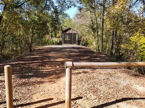 Check spelling or type a new query. Coheelee Creek Covererd Bridge (Blakely) - 2020 All You ...