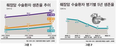 췌장암 5년 생존율 12 대 여전히 어렵지만 불치병은 아니다. 췌장암 수술 5년 생존율 15년새 2배 26.8% UP