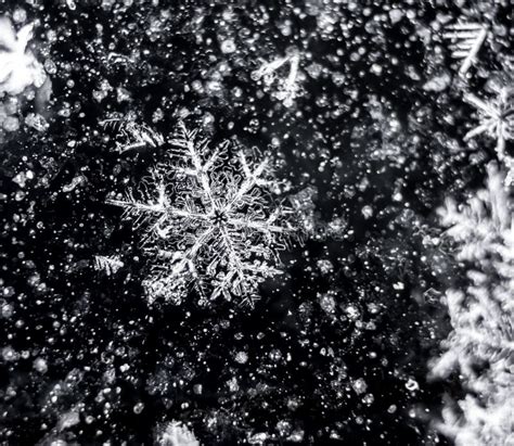 Unique Snowflake Stock Photo Image Of Pattern Seasons 28614598