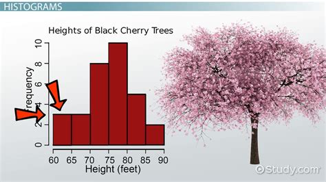 What are Data Distribution Types? | How to Find Distribution of Data