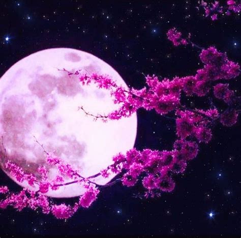 Pink Super Moon Full Moon Photography Moon Photography Moon Painting